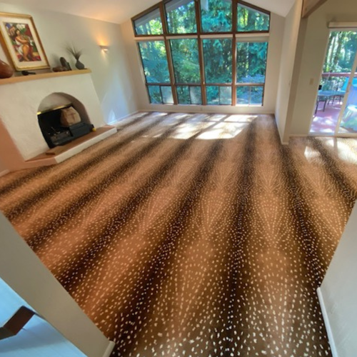 Antelope print carpet installation in Beaverton, Oregon