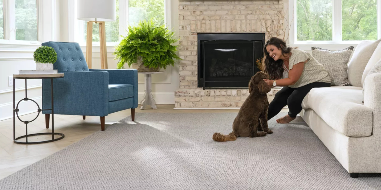 Pet friendly Kashmere in a family home