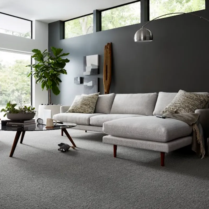 Grey Karastan SmartStrand carpet in a modern living room